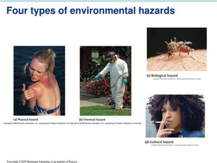 Examples of environmental hazards